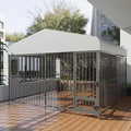 Large Outdoor Dog Kennel - 10x10x6 Feet, Heavy Duty, Lockable, Waterproof Roof, Stainless Steel Swivel Feeder